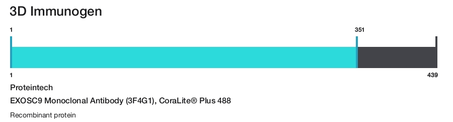 EXOSC9 Monoclonal Antibody (3F4G1), CoraLite&reg; Plus 488