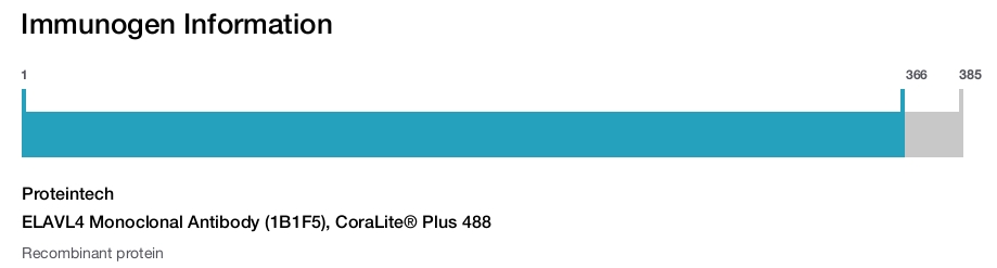 ELAVL4 Monoclonal Antibody (1B1F5), CoraLite® Plus 488