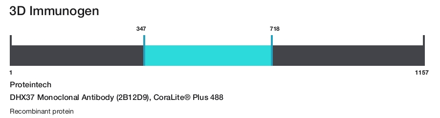 DHX37 Monoclonal Antibody (2B12D9), CoraLite&reg; Plus 488