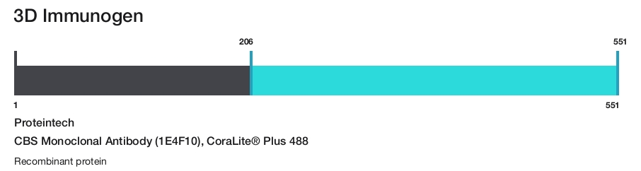 CBS Monoclonal Antibody (1E4F10), CoraLite&reg; Plus 488