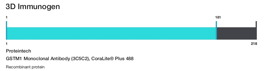 GSTM1 Monoclonal Antibody (3C5C2), CoraLite&reg; Plus 488