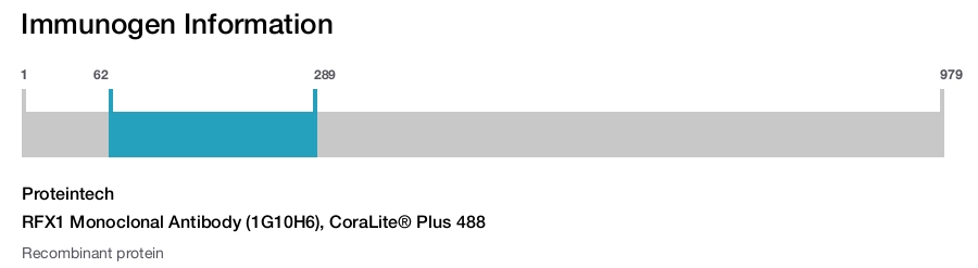 RFX1 Monoclonal Antibody (1G10H6), CoraLite® Plus 488