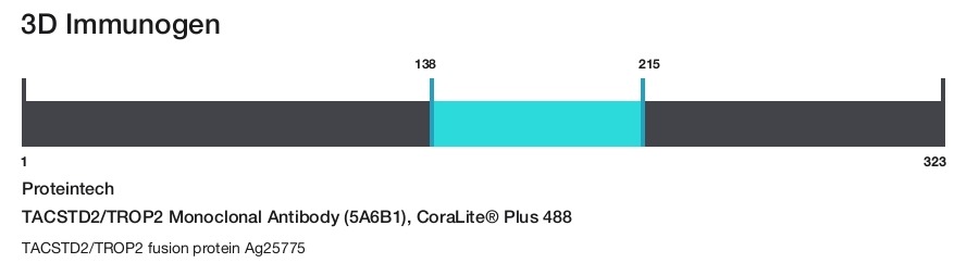 TACSTD2/TROP2 Monoclonal Antibody (5A6B1), CoraLite&reg; Plus 488