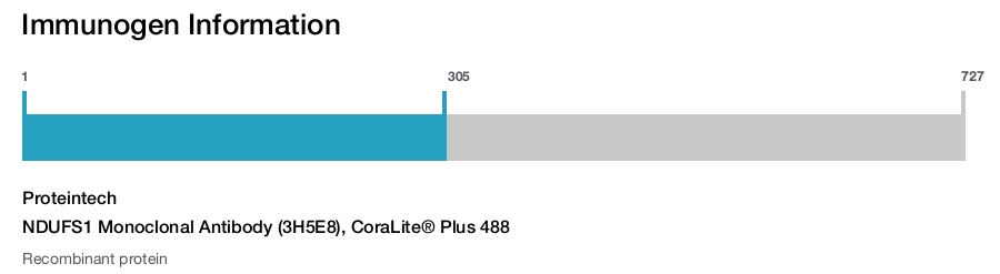 NDUFS1 Monoclonal Antibody (3H5E8), CoraLite® Plus 488