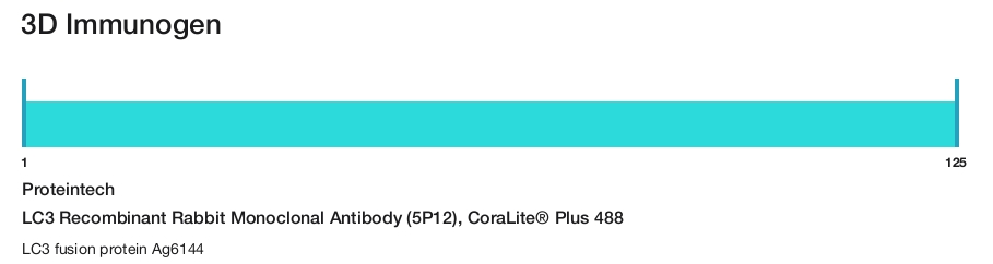 LC3 Recombinant Rabbit Monoclonal Antibody (5P12), CoraLite&reg; Plus 488