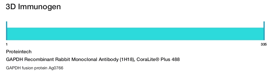 GAPDH Recombinant Rabbit Monoclonal Antibody (1H18), CoraLite&reg; Plus 488