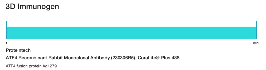 ATF4 Recombinant Rabbit Monoclonal Antibody (230306B5), CoraLite&reg; Plus 488