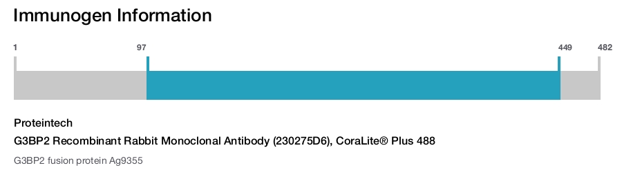 G3BP2 Recombinant Rabbit Monoclonal Antibody (230275D6), CoraLite® Plus 488