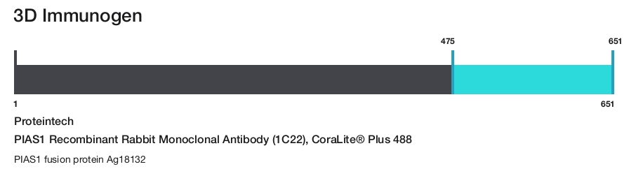 PIAS1 Recombinant Rabbit Monoclonal Antibody (1C22), CoraLite&reg; Plus 488