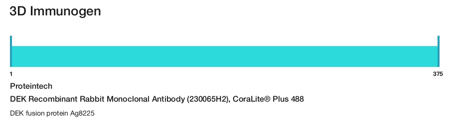 DEK Recombinant Rabbit Monoclonal Antibody (230065H2), CoraLite&reg; Plus 488