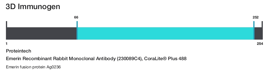 Emerin Recombinant Rabbit Monoclonal Antibody (230089C4), CoraLite&reg; Plus 488
