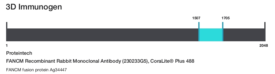 FANCM Recombinant Rabbit Monoclonal Antibody (230233G5), CoraLite&reg; Plus 488
