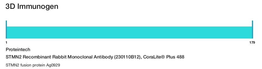 STMN2 Recombinant Rabbit Monoclonal Antibody (230110B12), CoraLite&reg; Plus 488