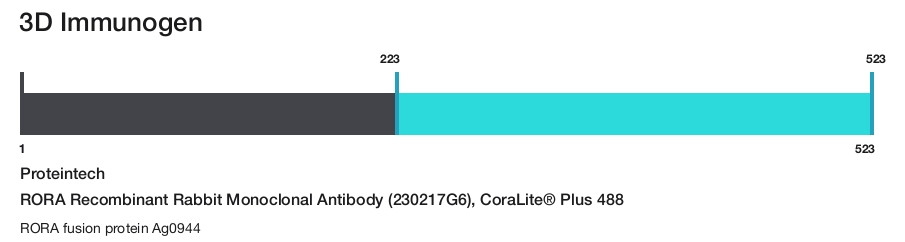 RORA Recombinant Rabbit Monoclonal Antibody (230217G6), CoraLite&reg; Plus 488