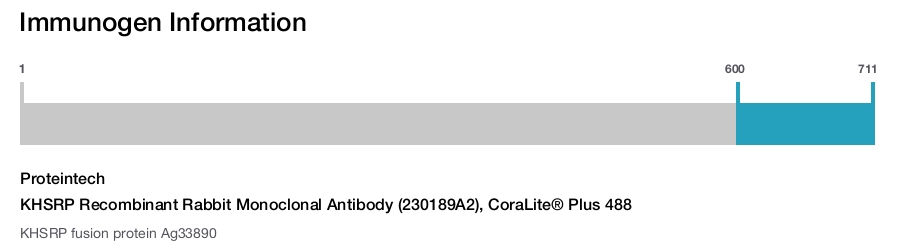 KHSRP Recombinant Rabbit Monoclonal Antibody (230189A2), CoraLite® Plus 488