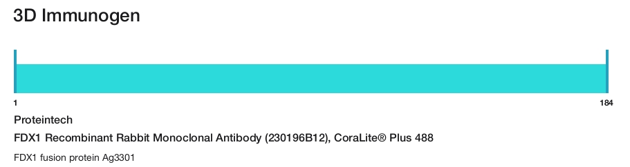 FDX1 Recombinant Rabbit Monoclonal Antibody (230196B12), CoraLite&reg; Plus 488