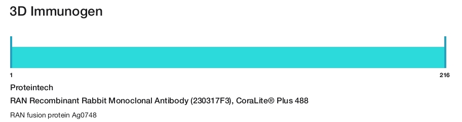 RAN Recombinant Rabbit Monoclonal Antibody (230317F3), CoraLite&reg; Plus 488