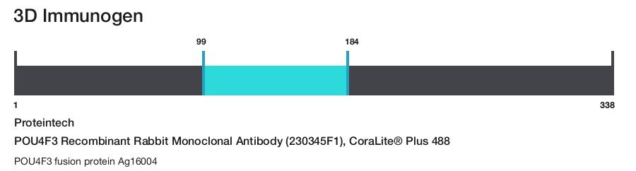 POU4F3 Recombinant Rabbit Monoclonal Antibody (230345F1), CoraLite&reg; Plus 488