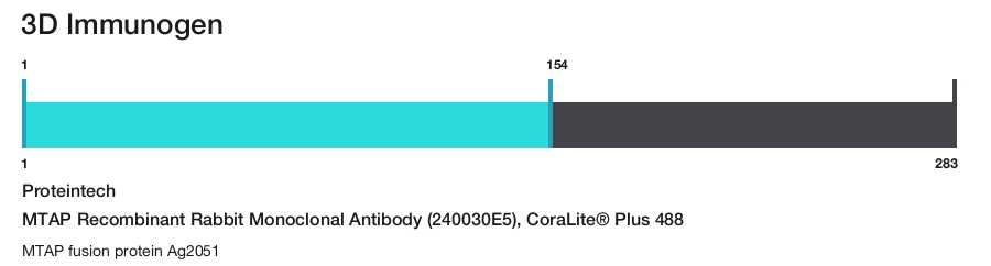 MTAP Recombinant Rabbit Monoclonal Antibody (240030E5), CoraLite&reg; Plus 488