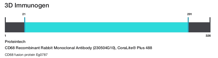 CD68 Recombinant Rabbit Monoclonal Antibody (230504G10), CoraLite&reg; Plus 488