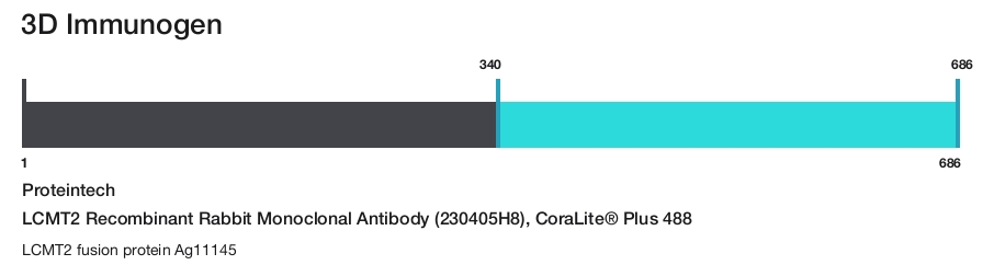 LCMT2 Recombinant Rabbit Monoclonal Antibody (230405H8), CoraLite&reg; Plus 488