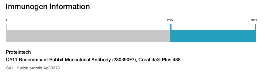 CA11 Recombinant Rabbit Monoclonal Antibody (230390F7), CoraLite® Plus 488