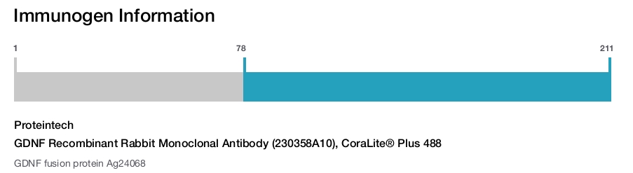 GDNF Recombinant Rabbit Monoclonal Antibody (230358A10), CoraLite&reg; Plus 488