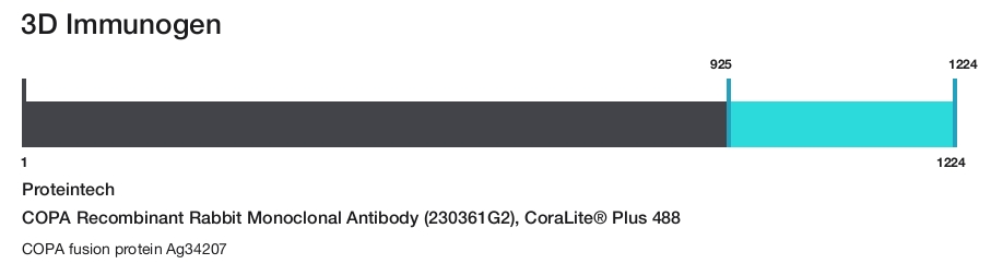 COPA Recombinant Rabbit Monoclonal Antibody (230361G2), CoraLite&reg; Plus 488