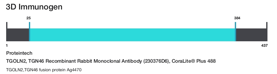 TGOLN2, TGN46 Recombinant Rabbit Monoclonal Antibody (230376D6), CoraLite&reg; Plus 488