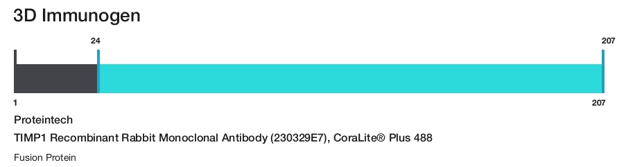 TIMP1 Recombinant Rabbit Monoclonal Antibody (230329E7), CoraLite&reg; Plus 488