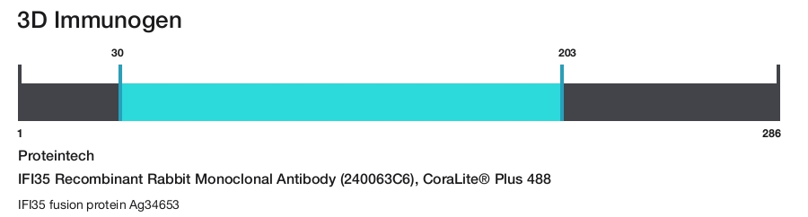 IFI35 Recombinant Rabbit Monoclonal Antibody (240063C6), CoraLite&reg; Plus 488