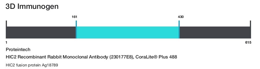 HIC2 Recombinant Rabbit Monoclonal Antibody (230177E8), CoraLite&reg; Plus 488