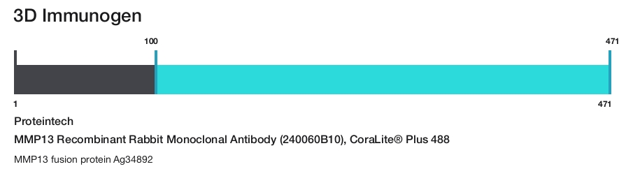 MMP13 Recombinant Rabbit Monoclonal Antibody (240060B10), CoraLite&reg; Plus 488
