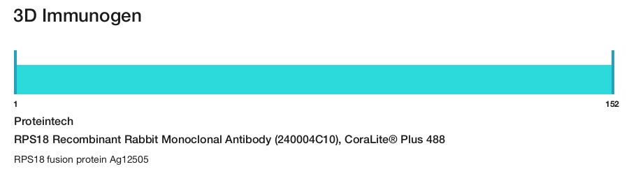 RPS18 Recombinant Rabbit Monoclonal Antibody (240004C10), CoraLite&reg; Plus 488
