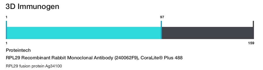 RPL29 Recombinant Rabbit Monoclonal Antibody (240062F9), CoraLite&reg; Plus 488