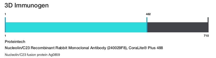 Nucleolin/C23 Recombinant Rabbit Monoclonal Antibody (240029F8), CoraLite&reg; Plus 488