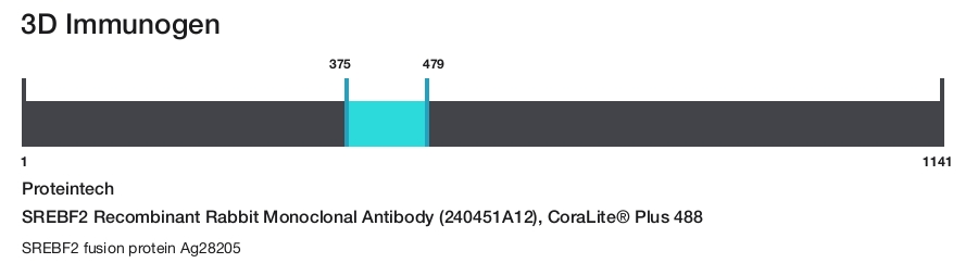 SREBF2 Recombinant Rabbit Monoclonal Antibody (240451A12), CoraLite&reg; Plus 488