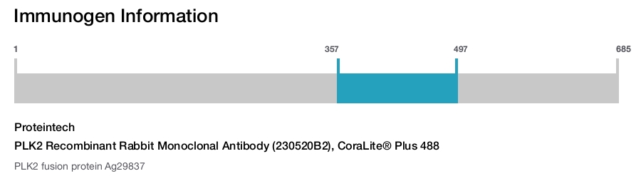 PLK2 Recombinant Rabbit Monoclonal Antibody (230520B2), CoraLite® Plus 488
