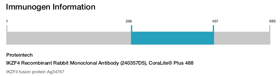 IKZF4 Recombinant Rabbit Monoclonal Antibody (240357D5), CoraLite® Plus 488