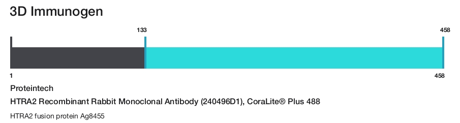 HTRA2 Recombinant Rabbit Monoclonal Antibody (240496D1), CoraLite&reg; Plus 488
