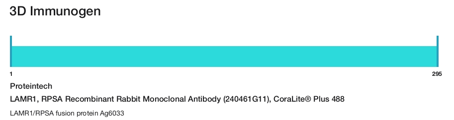 LAMR1, RPSA Recombinant Rabbit Monoclonal Antibody (240461G11), CoraLite&reg; Plus 488