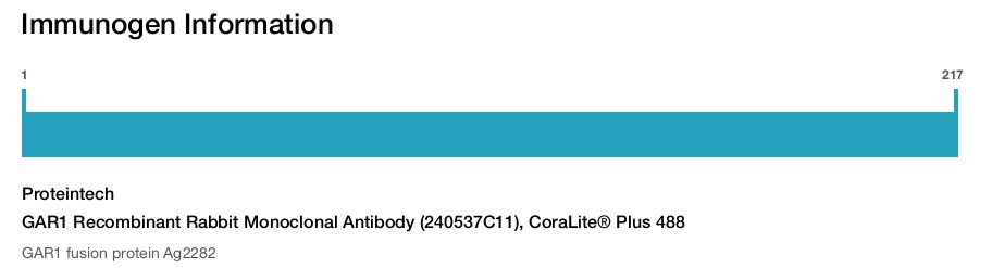 GAR1 Recombinant Rabbit Monoclonal Antibody (240537C11), CoraLite® Plus 488