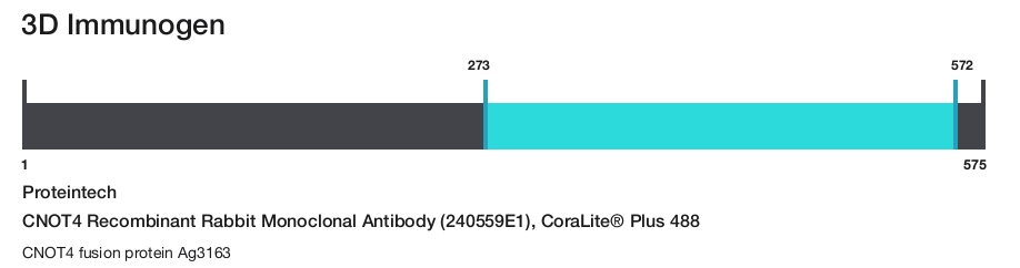 CNOT4 Recombinant Rabbit Monoclonal Antibody (240559E1), CoraLite&reg; Plus 488