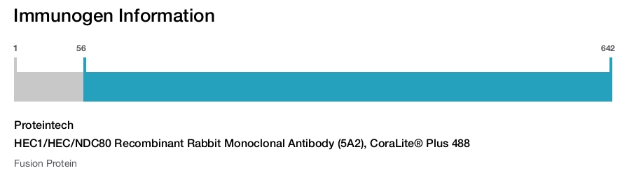 HEC1/HEC/NDC80 Recombinant Rabbit Monoclonal Antibody (5A2), CoraLite® Plus 488
