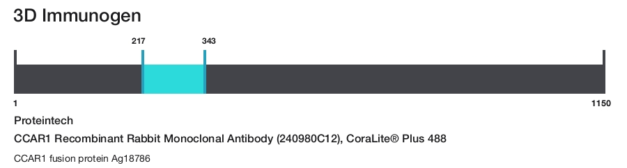 CCAR1 Recombinant Rabbit Monoclonal Antibody (240980C12), CoraLite&reg; Plus 488