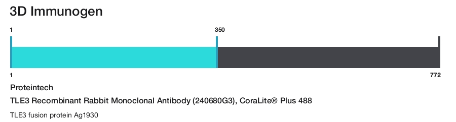 TLE3 Recombinant Rabbit Monoclonal Antibody (240680G3), CoraLite&reg; Plus 488