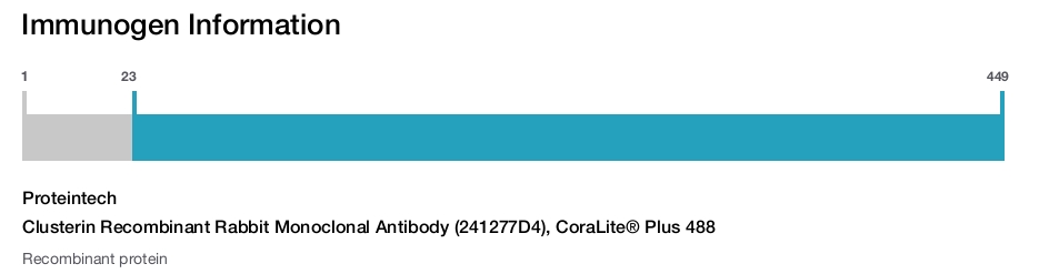 Immunogen Image Clusterin Recombinant Rabbit Monoclonal Antibody (241277D4), CoraLite® Plus 488