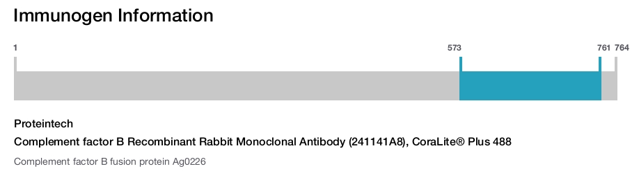 Complement factor B Recombinant Rabbit Monoclonal Antibody (241141A8), CoraLite® Plus 488
