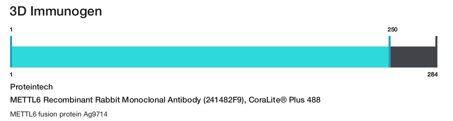 METTL6 Recombinant Rabbit Monoclonal Antibody (241482F9), CoraLite&reg; Plus 488