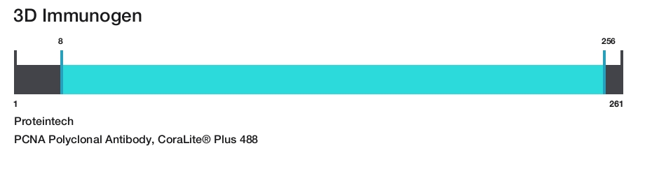 PCNA Polyclonal Antibody, CoraLite&reg; Plus 488